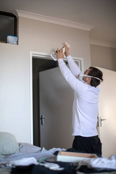 Best Mold Removal for HVAC Installations  in Tontitown, AR