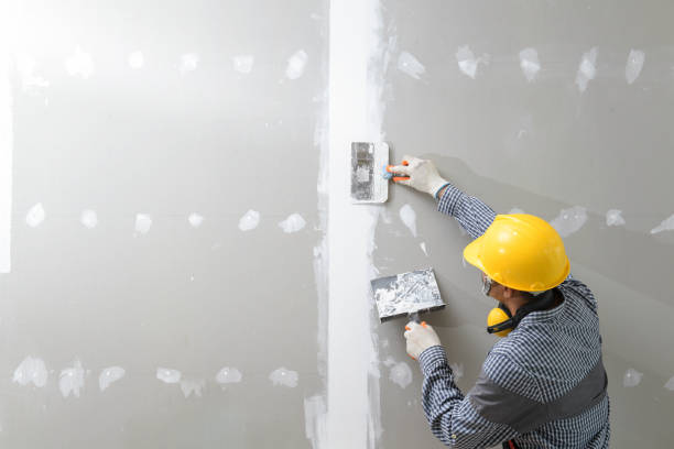 Best HVAC Mold Inspection and Cleaning  in Tontitown, AR