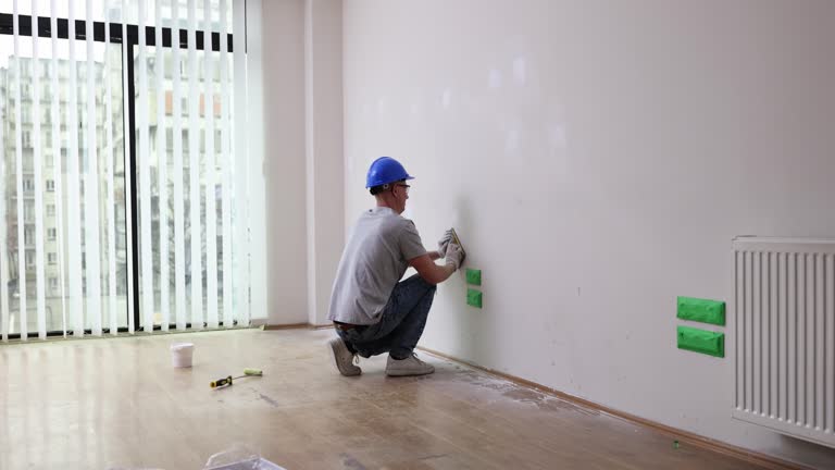 Best Black Mold Removal  in Tontitown, AR
