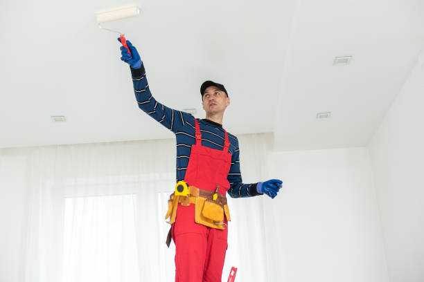 Best Environmental Consulting for Mold Prevention  in Tontitown, AR
