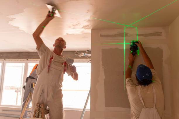 Best Mold Damage Restoration  in Tontitown, AR