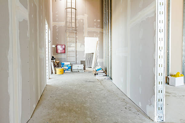 Best Airborne Mold Testing  in Tontitown, AR