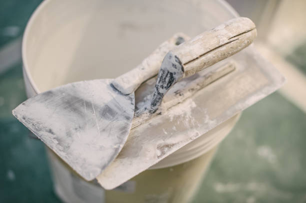 Best Real Estate Mold Inspection  in Tontitown, AR