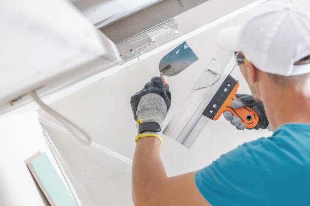 Best Real Estate Mold Inspection  in Tontitown, AR